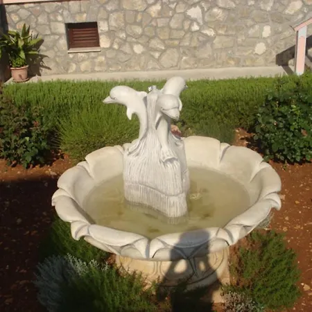 Petrovic Апартаменты