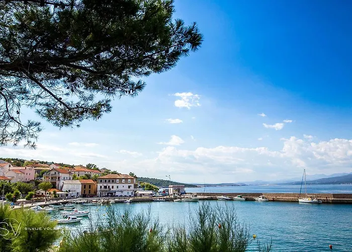 Petrovic Appartamento