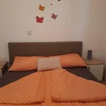 Petrovic 아파트