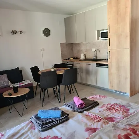 Petrovic Apartment