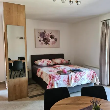 Petrovic Apartman *